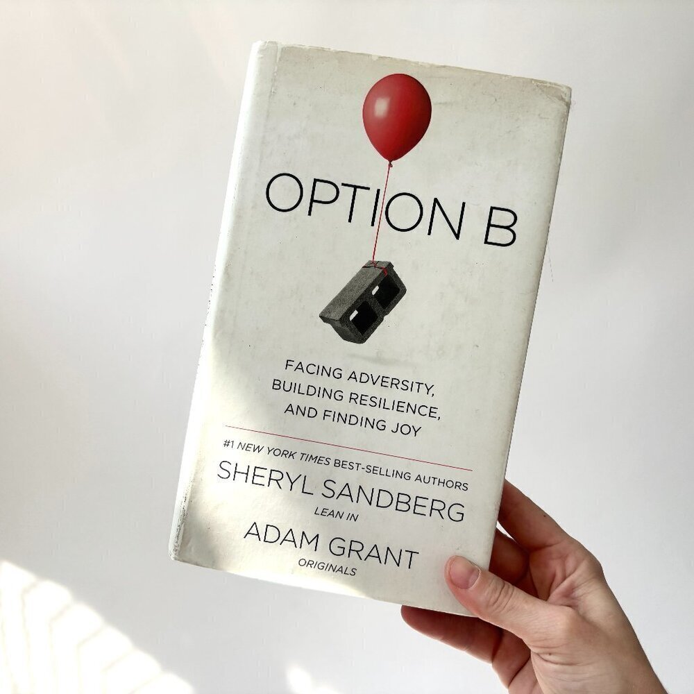 Option B: Facing Adversity, Building Resilience, & Finding Joy - Sheryl & Adam - Picture 1 of 7